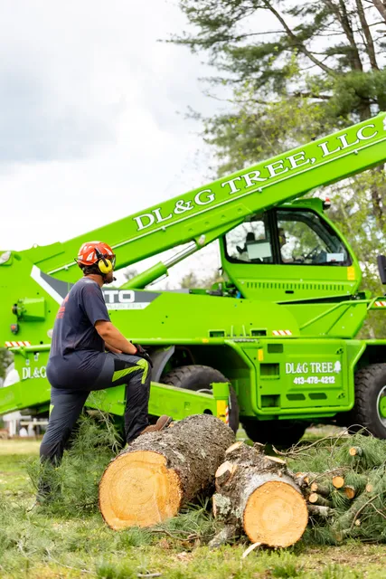 work photo from dlandgtree.com