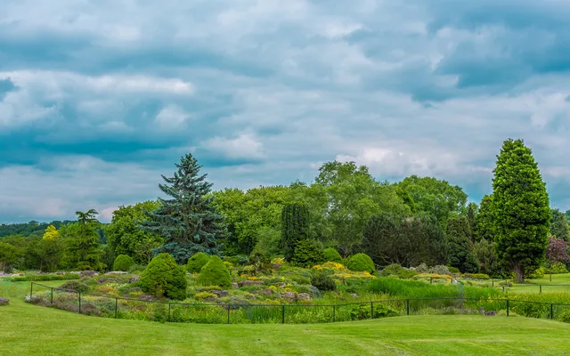 All-Star Green Team Landscaping work photo
