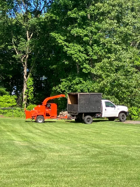 Mike's Tree Service & Landscaping work photo