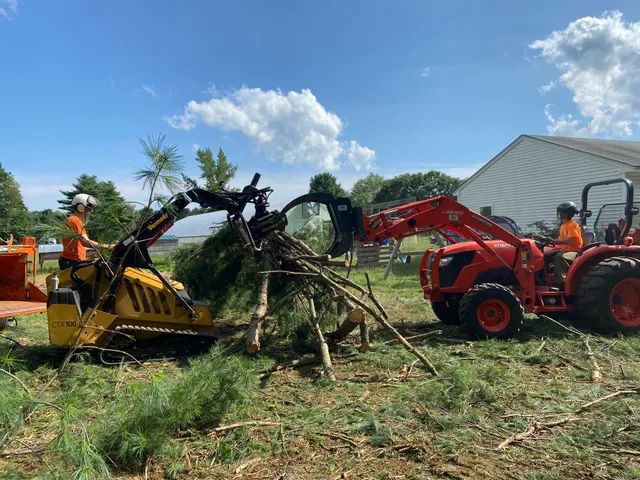 Dirigo Tree Service, LLC work photo