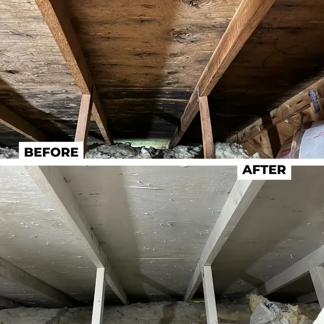 Mold Bros. work photo