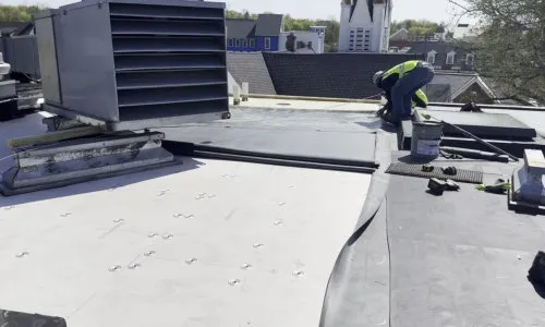 Bituminous membrane waterproofing system