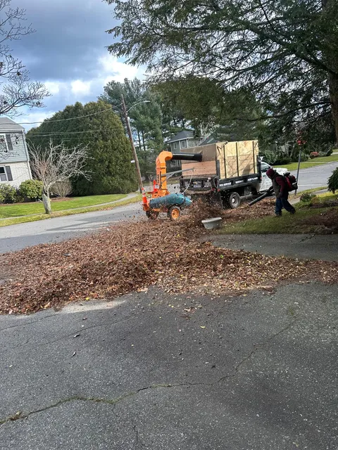 Miguel Lopez Landscaping & Hardscaping