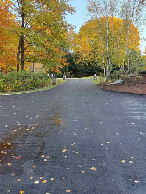 A paved driveway with trees on both sides and leaves on the ground