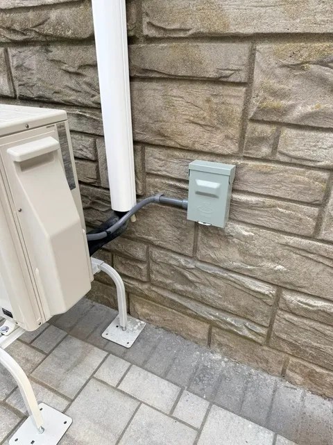 Joan Romero Electric researched project photo