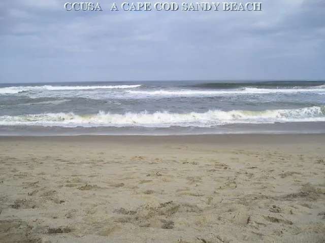 work photo from capecodusarealestate.com