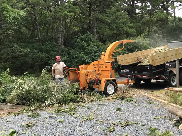 storm-cleanup-eastham-cape-cod