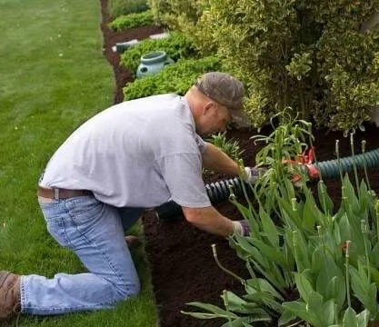 David Sauro Landscaping Inc work photo