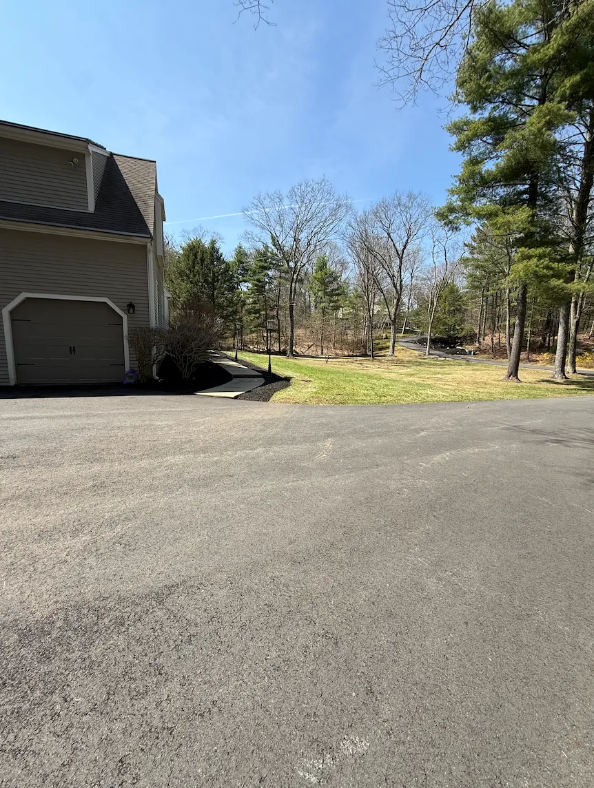 Driveway & Walkway Cleanup