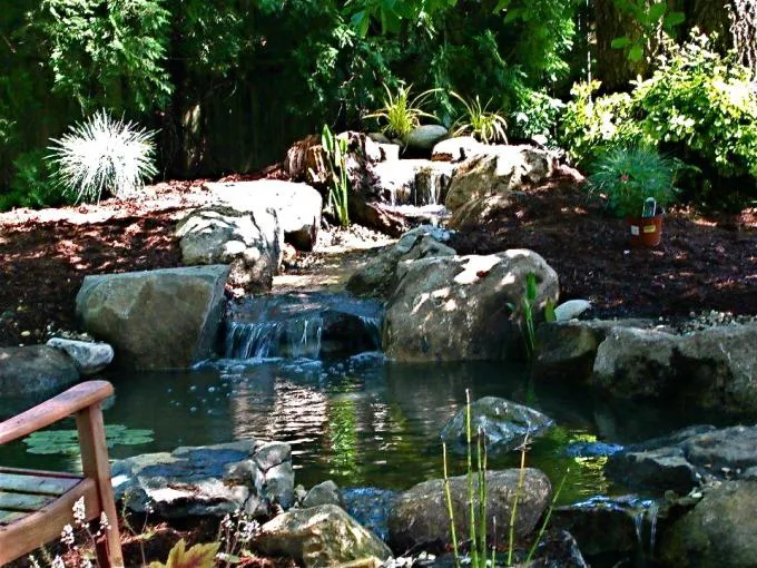 Water Features