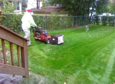 Lawn Mowing