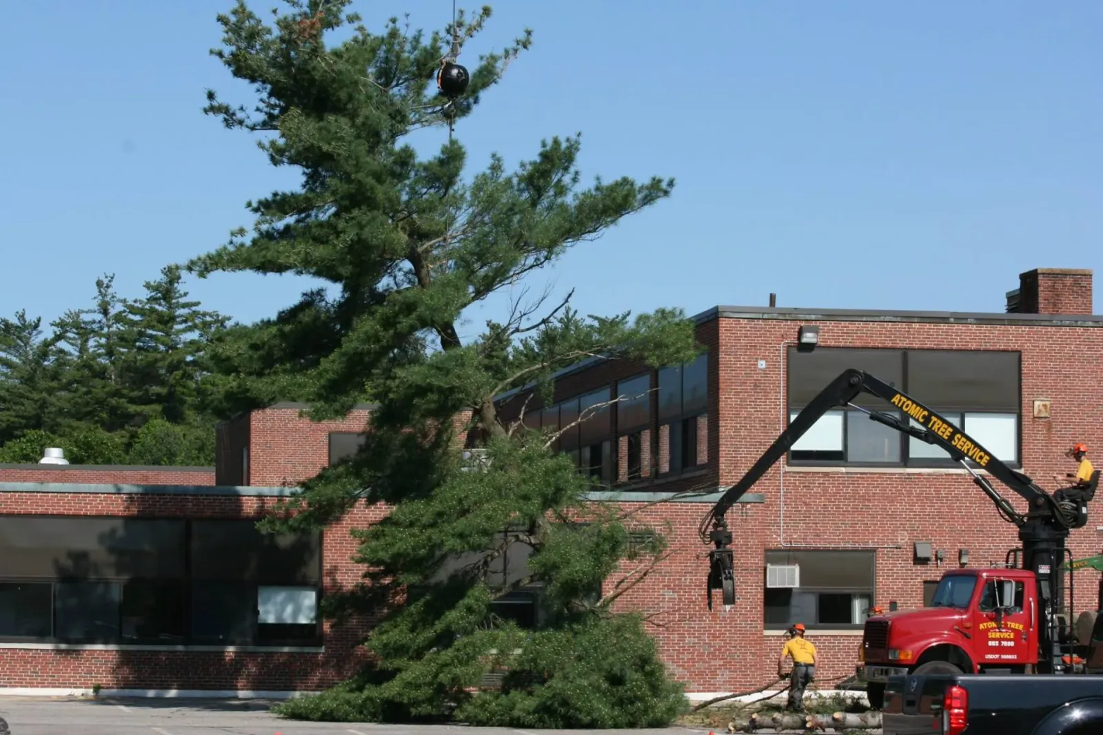 work photo from atomictreeserviceinc.com