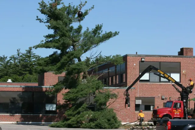 work photo from atomictreeserviceinc.com