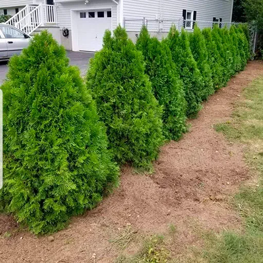 sq-sample14