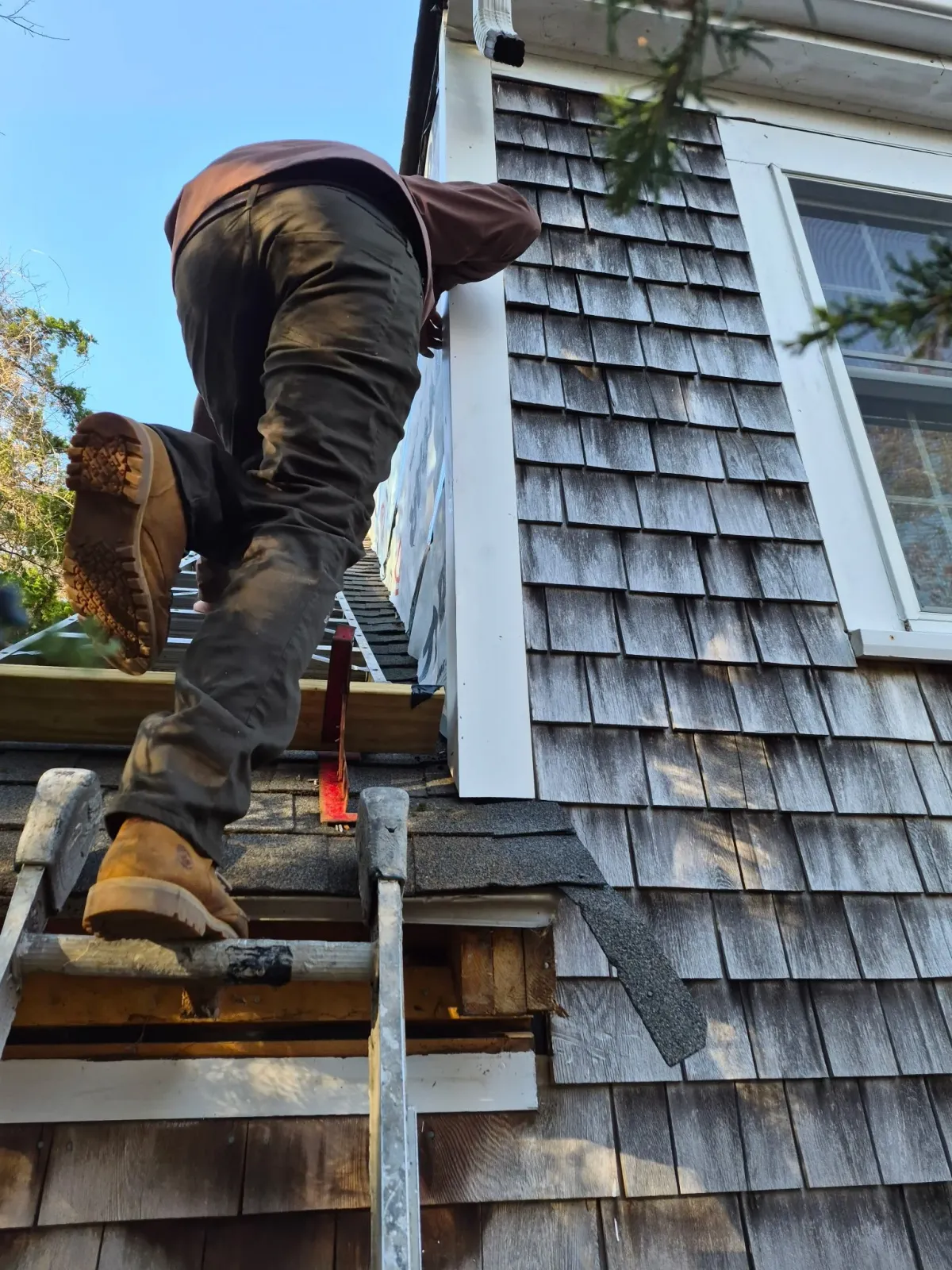 A person on a ladder working on the side of a house, installing or repairing the siding. The house has wooden shingles and a window with white framing.