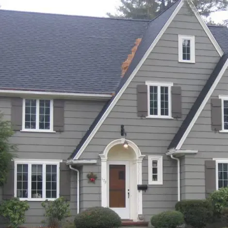 View on the fresh painted house in grey