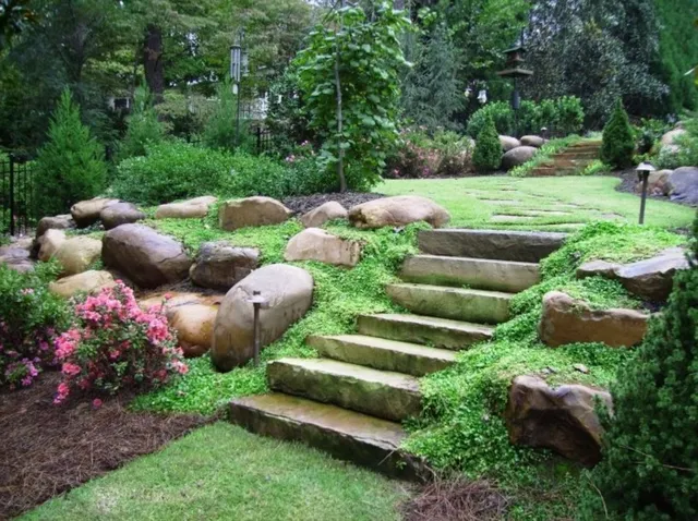 Pinebrook Landscaping