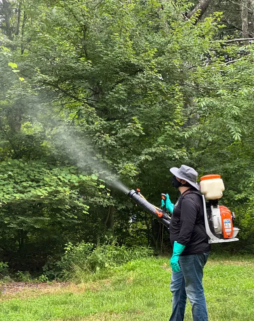 Mosquito Joe of Hingham-Easton work photo
