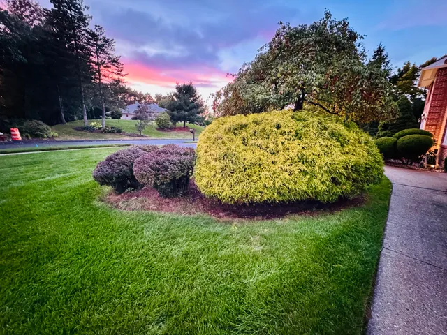 Simply Green Landscaping work photo