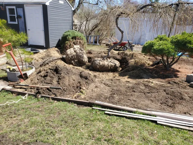 Aralia Arborist Services work photo