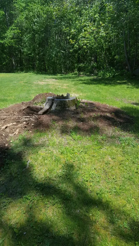 work photo from brettstotalstumpgrinding.com
