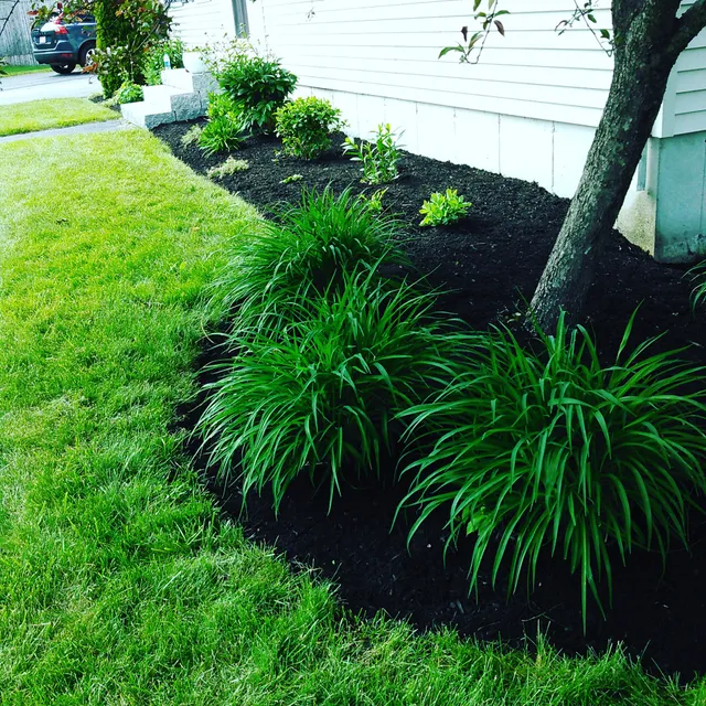 Will's Lawn Services work photo