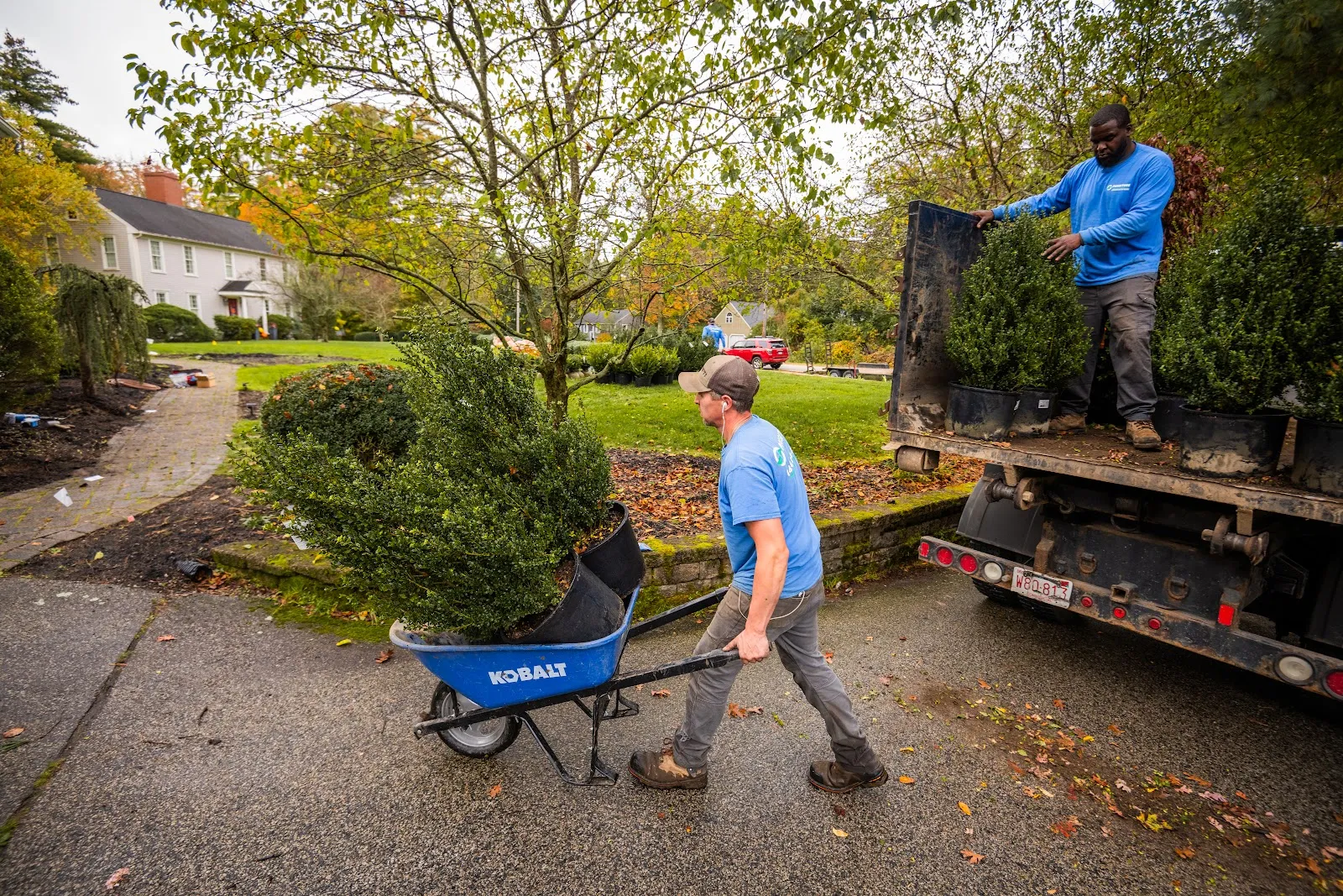 Pungitore Landscaping