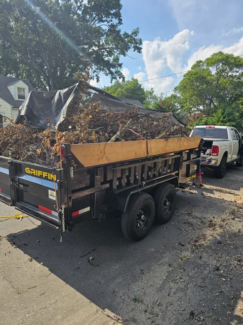 Palmerie Junk Removal work photo