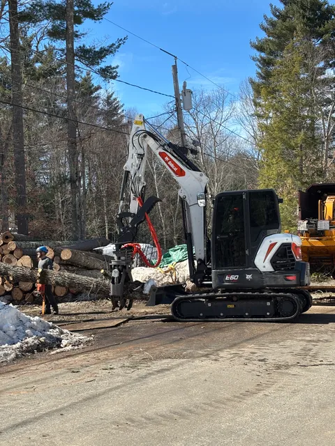 Maple Leaf Tree Service, LLC work photo
