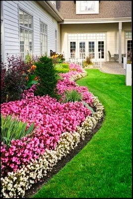 Professional Landscaping work photo