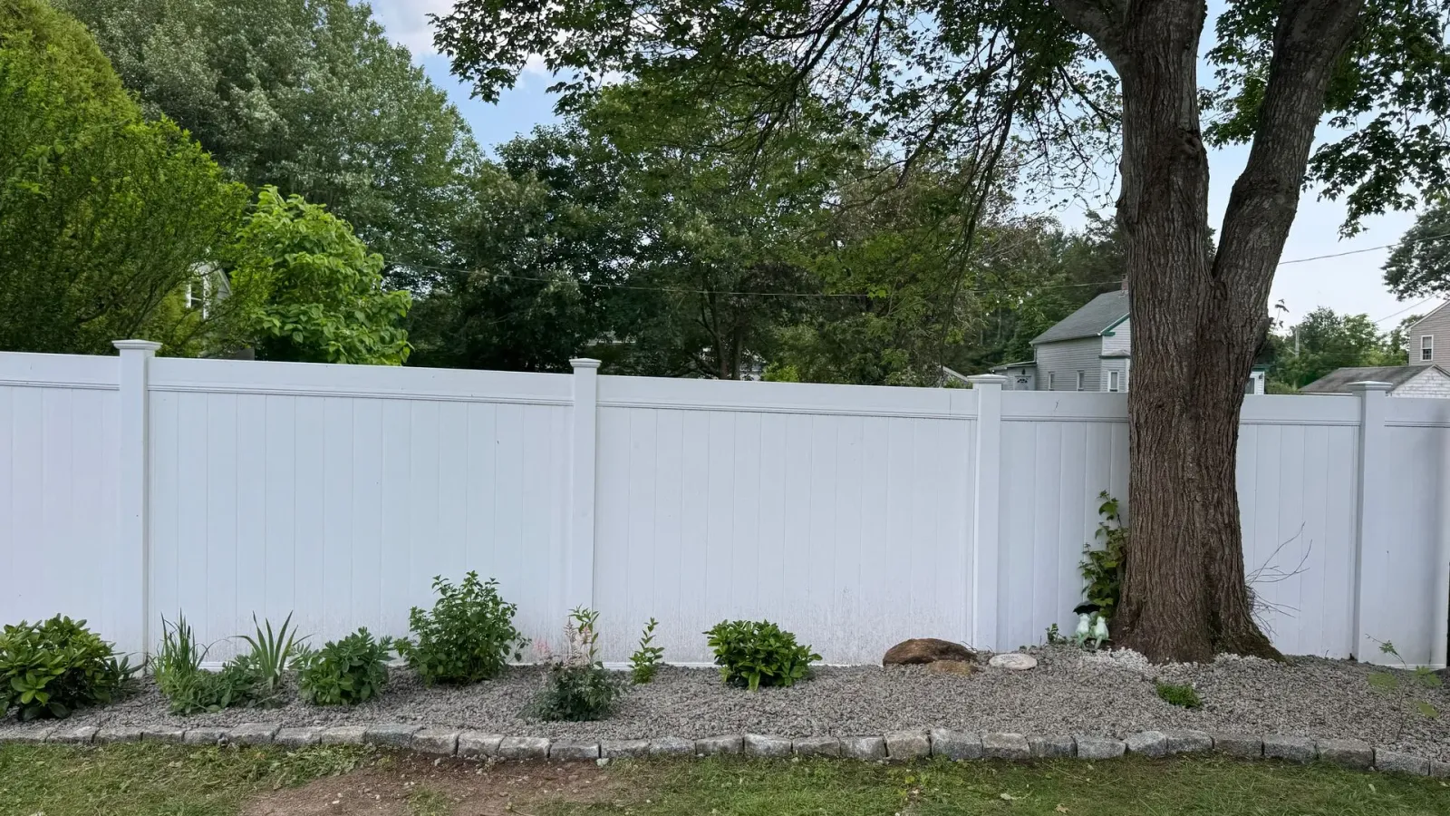 White vinyl fence bordering a yard with a large tree and small shrubs.