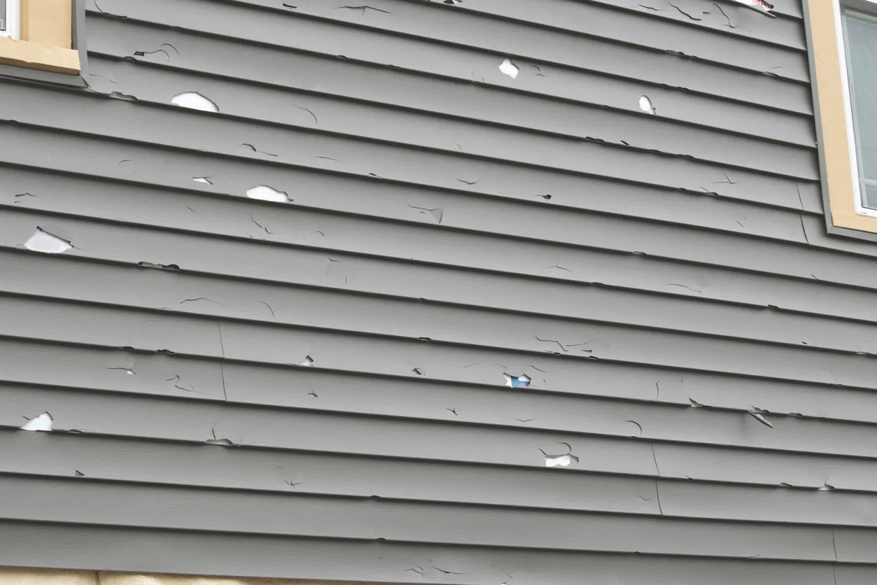 Dario's Construction verified work photo
