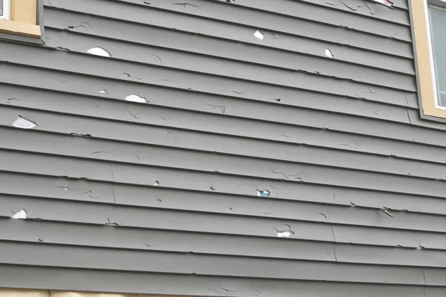 Dario's Construction verified work photo