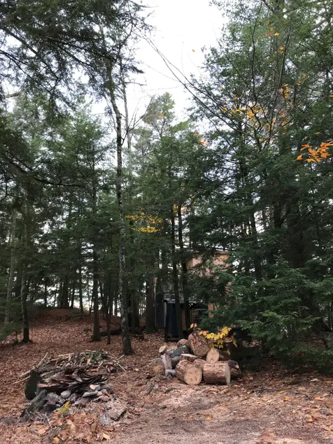 Xscape Landscape and Tree Care work photo