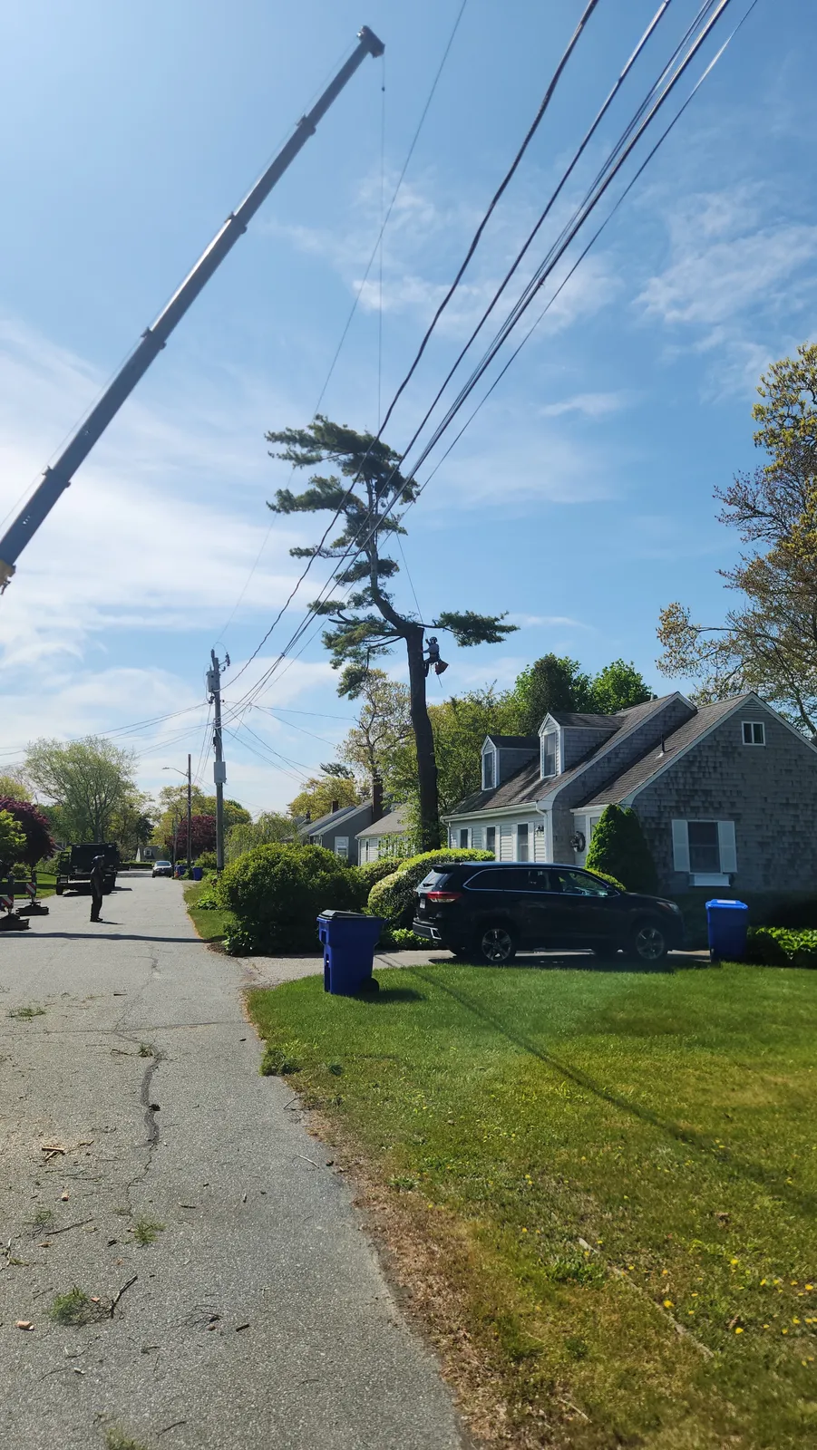 work photo from Google listing