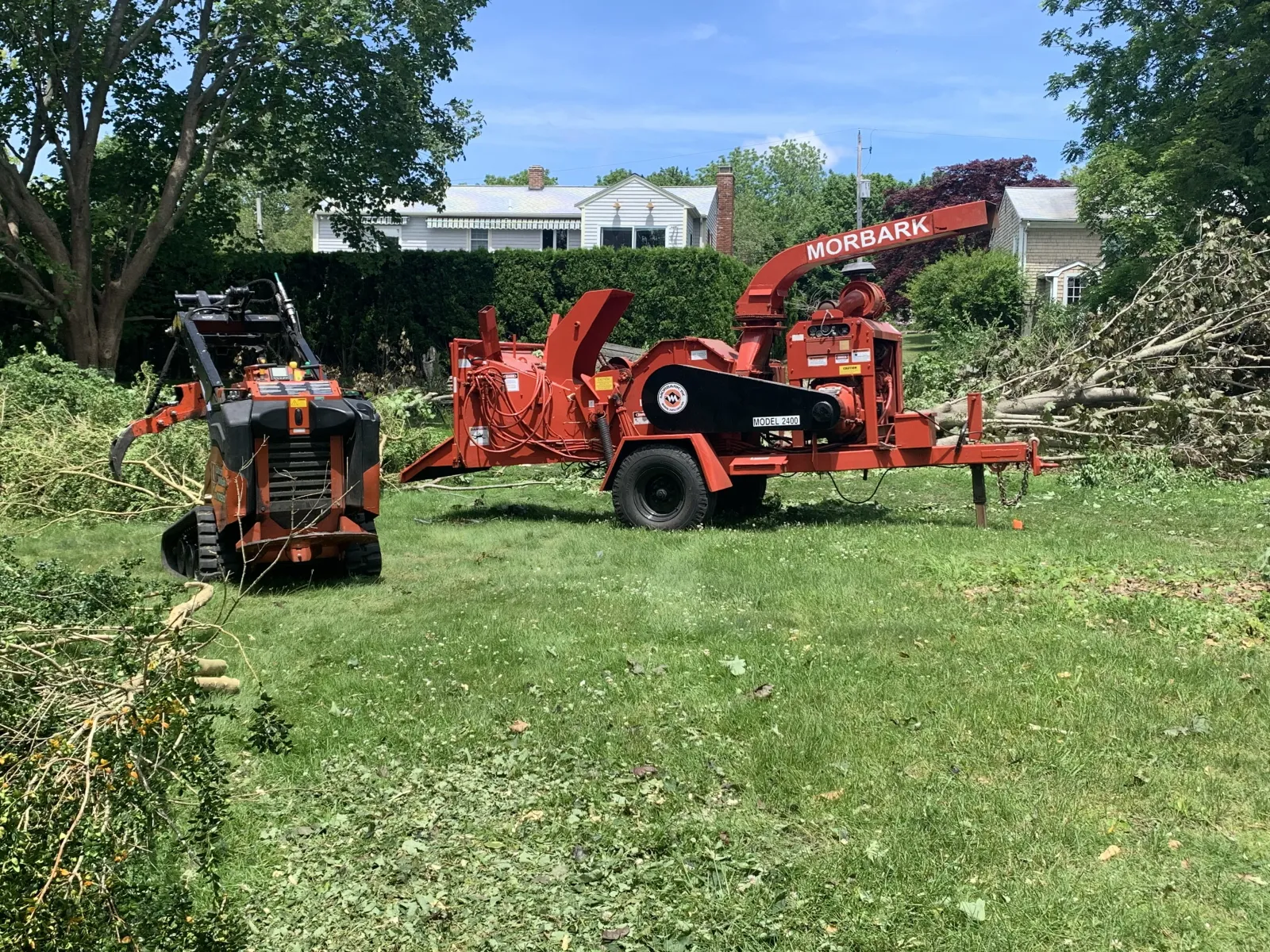 work photo from arborscapetree.com