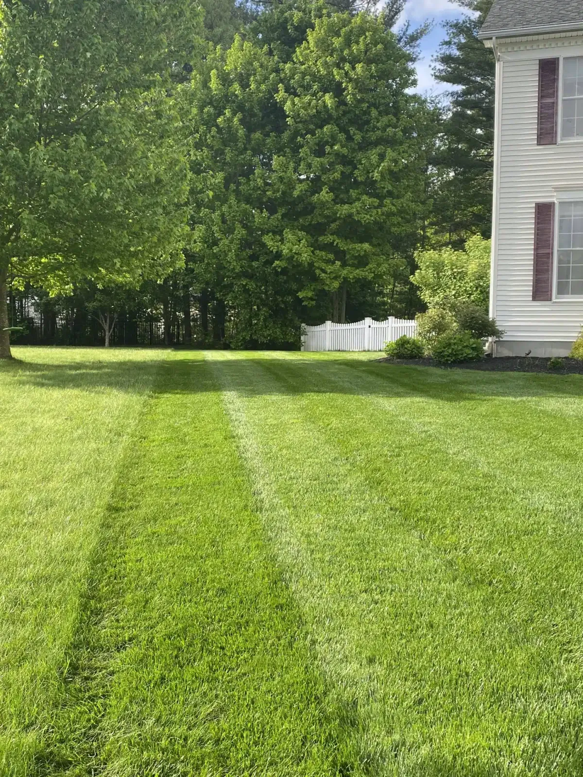 Spring_Lawn_Care_Pre-Emergent_Tips