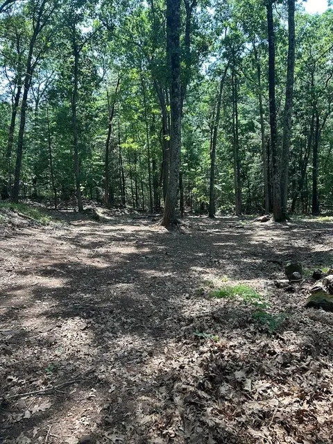 Land Management