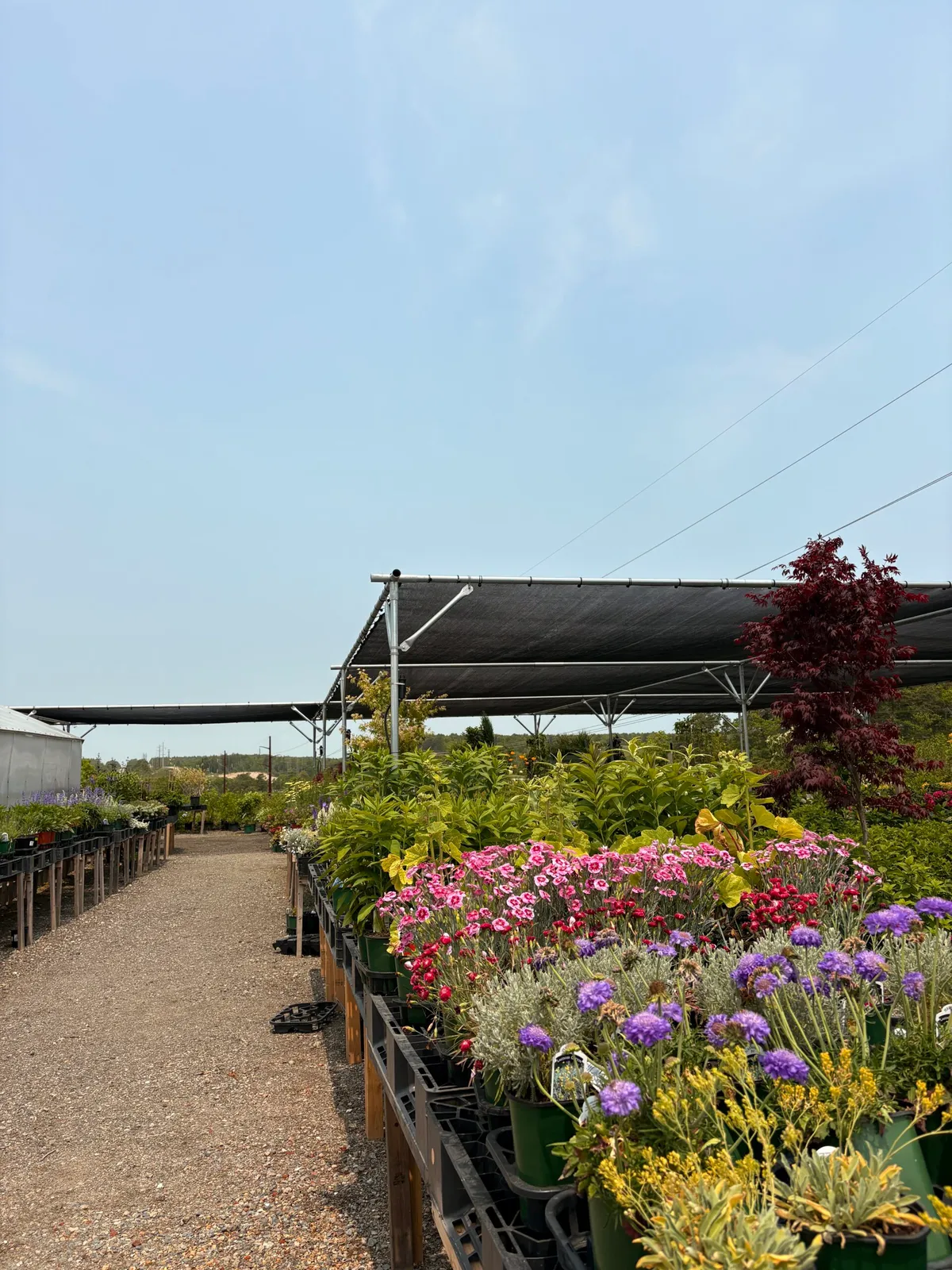 work photo from eganlandscapegroup.com