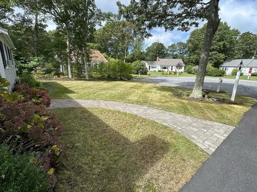 Landscaped area with dark mulch, golden shrubs, and a gravel walkway alongside a shingled house.