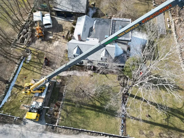 work photo from mapletreeservices.net