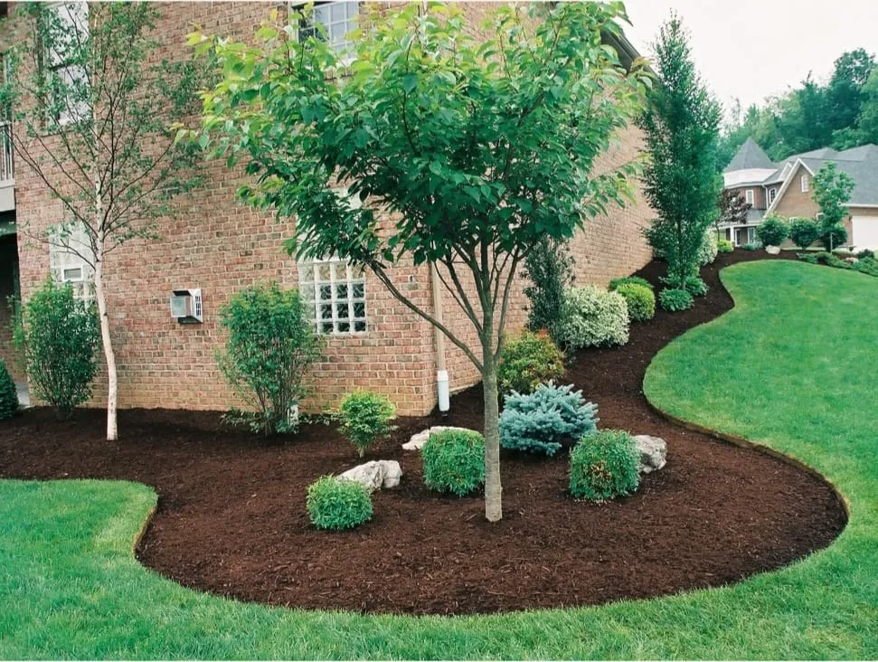 Roberto Affordable Land & Tree Service