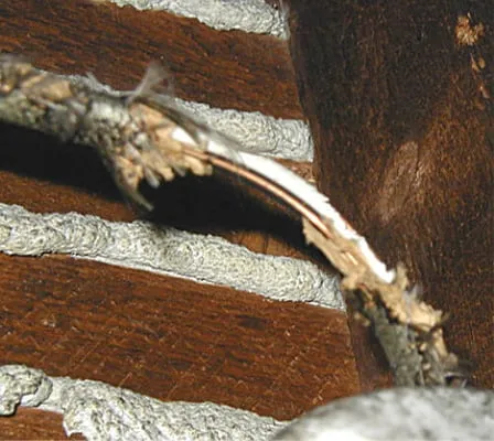 Able Home Inspection researched project photo