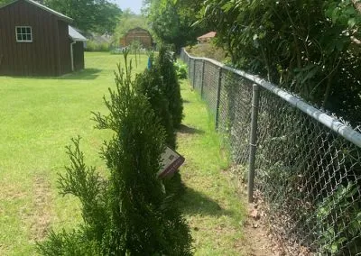 after-lawn-service