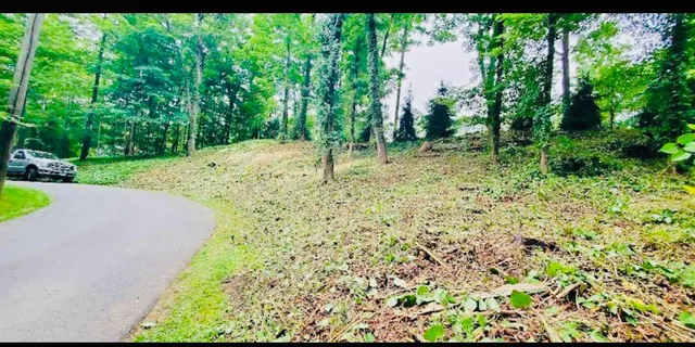 Land Clearing Fairfield County CT
