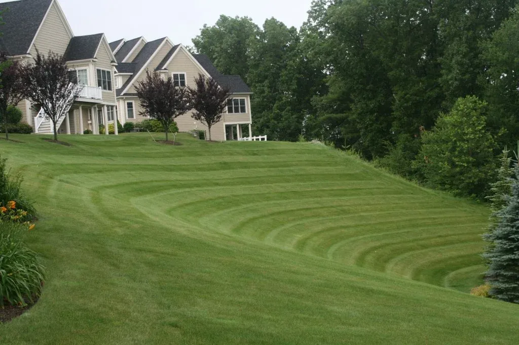 Sloped backyard with beautifully mowed grass and houses in the background, flanked by trees.