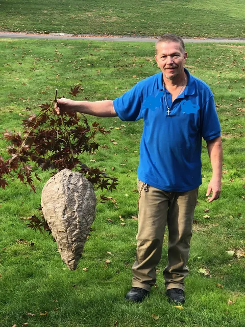 Stoney's Pest Control work photo