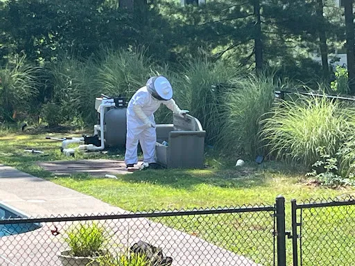 Squared Away Pest Control work photo