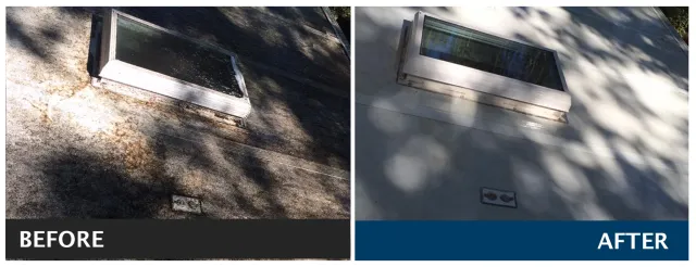 Before-and-After-3.png