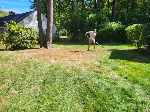 A man is raking loam over stump hole